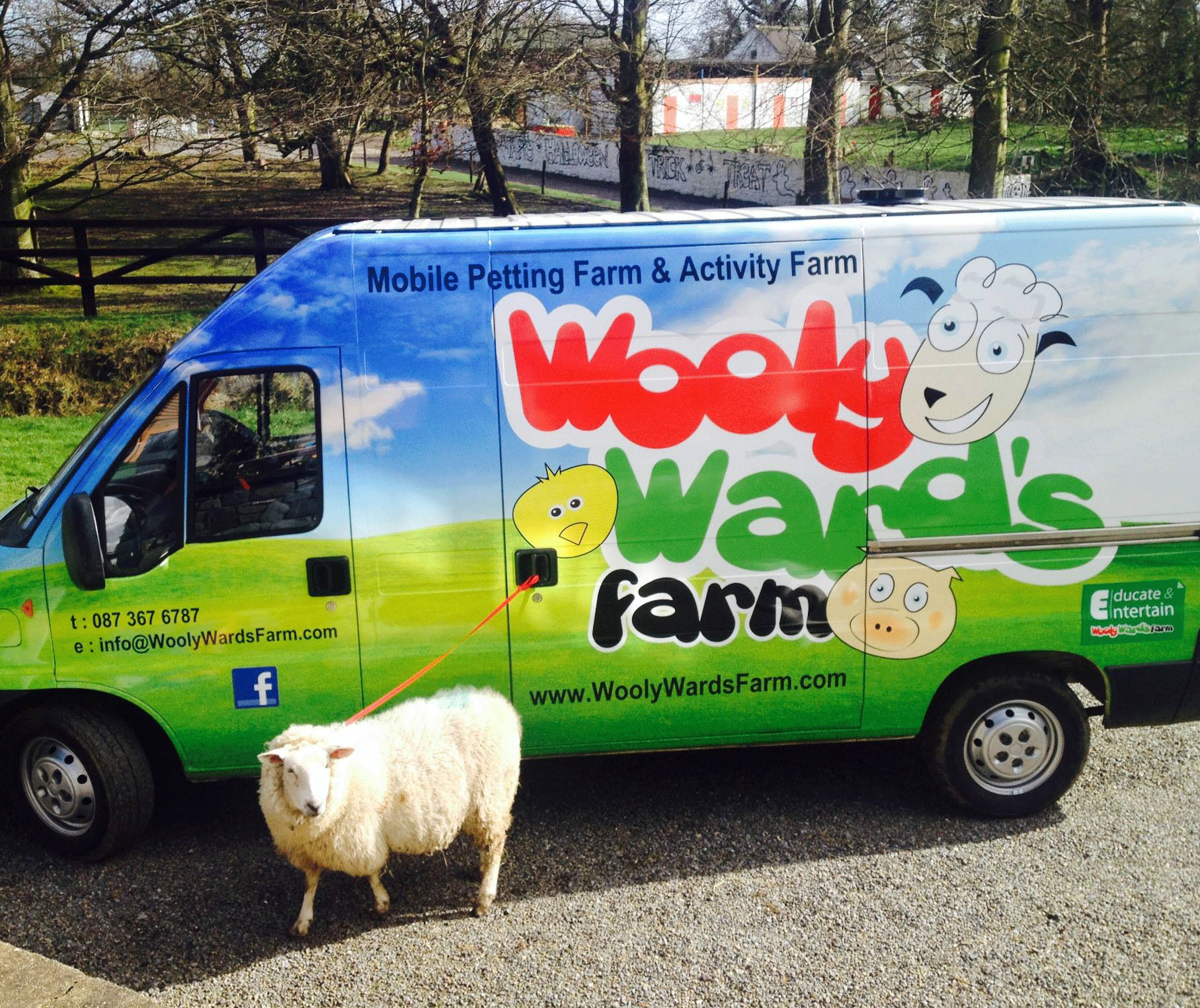 Wooly Farm - YourDaysOut