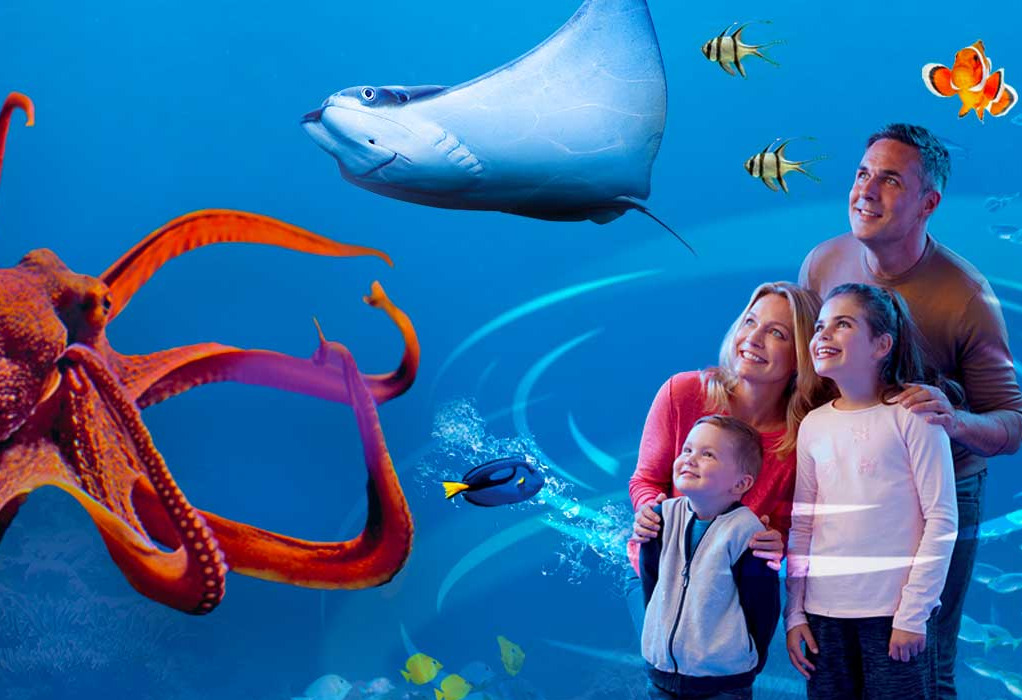Things to do in County Wicklow, Ireland - SEA LIFE, Bray - YourDaysOut