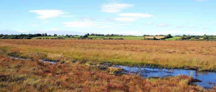 Things to do in County Offaly, Ireland - Clara Bog Nature Reserve - YourDaysOut