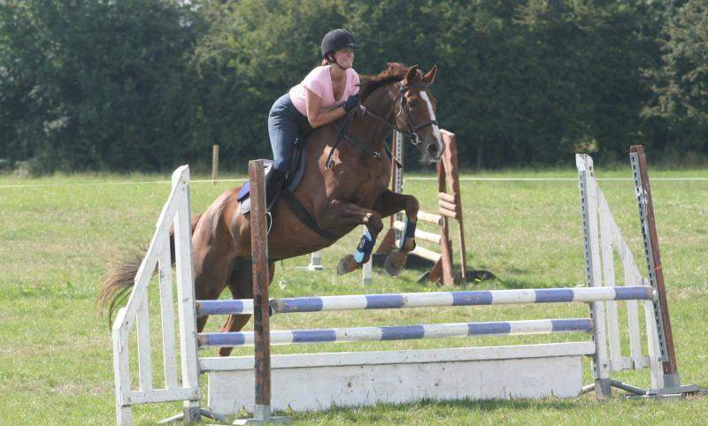 Things to do in County Offaly, Ireland - Annaharvey Farm - YourDaysOut