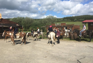 Things to do in County Laois, Ireland - Fossey Mountain Springs Ranch - YourDaysOut