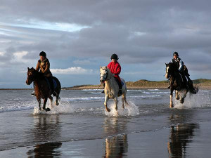 Things to do in County Sligo, Ireland - Island View Riding Stables - YourDaysOut