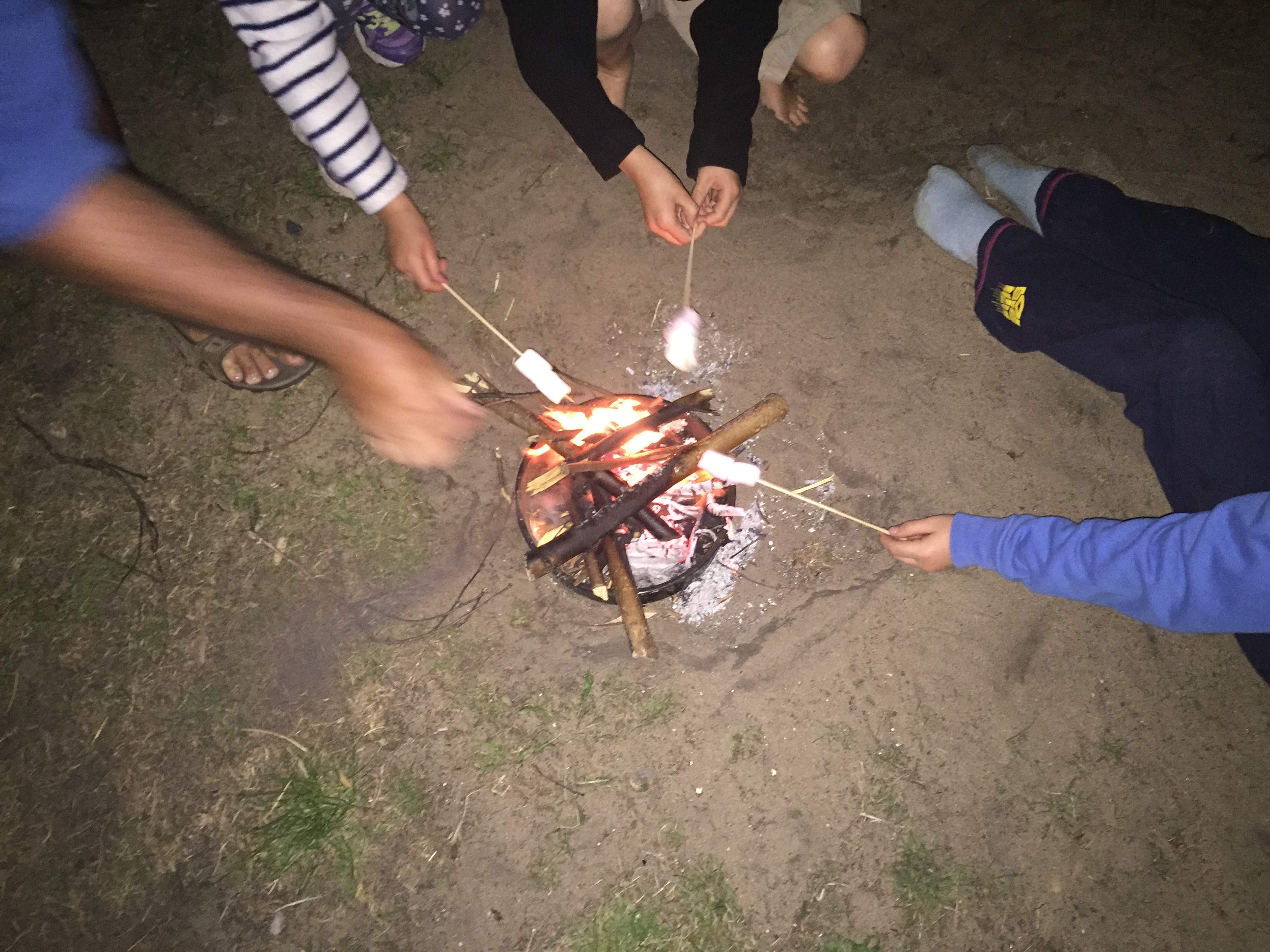 Things to do in County Wexford, Ireland - Morriscastle Strand Holiday Village - YourDaysOut
