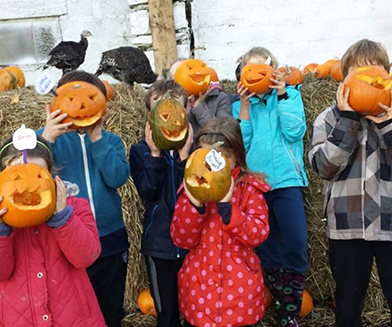 Things to do in County Dublin, Ireland - Wooly Ward's Farm Halloween Event - YourDaysOut
