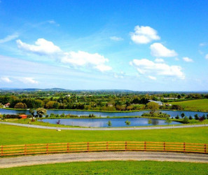 Things to do in County Carlow, Ireland - Southern County Fishing Resort - YourDaysOut