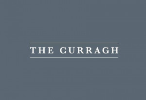 Things to do in County Kildare, Ireland - The Curragh - YourDaysOut