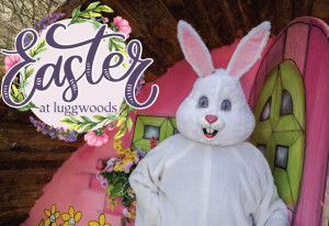 Things to do in County Dublin, Ireland - Luggwoods Easter Egg Hunt - YourDaysOut