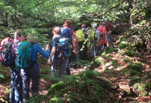 Things to do in County Laois, Ireland - Slieve Bloom May Walking Festival - YourDaysOut