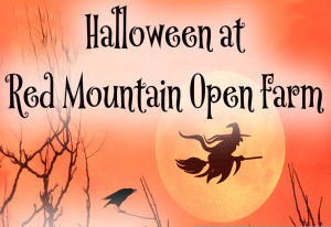 Things to do in County Meath, Ireland - Halloween @ Red Mountain Open Farm - YourDaysOut