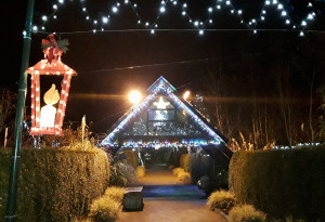 Win a free family pass to Santa's Workshop at Delta Sensory Gardens - YourDaysOut