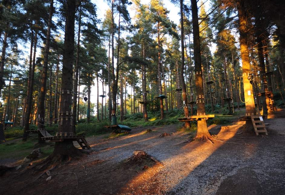 Zipit Forest Adventures, Roscommon - YourDaysOut