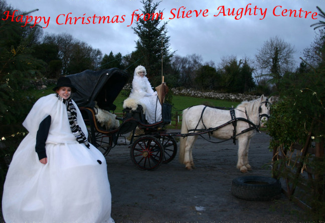 Things to do in County Galway, Ireland - An Enchanted Christmas | Slieve Aughty - YourDaysOut
