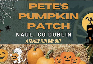 Things to do in County Dublin, Ireland - Pete's Pumpkin Patch - YourDaysOut
