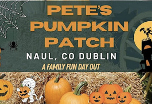 Things to do in County Dublin, Ireland - Pete's Pumpkin Patch - YourDaysOut