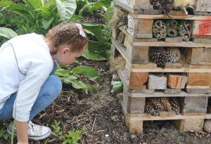 Things to do in ,  - Gardening and Biodiversity Workshop for Kids - Morning - YourDaysOut