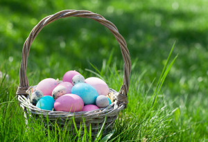 Things to do in County Meath, Ireland - Easter Egg Hunt | The Ark, Puddenhill - YourDaysOut