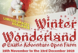 Things to do in County Donegal, Ireland - Winter Wonderland | Open Farm - YourDaysOut