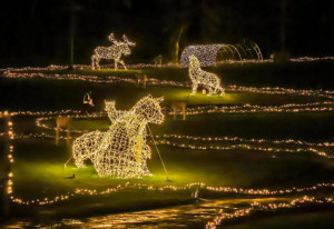 Things to do in County Louth, Ireland - Adventure Lights - YourDaysOut