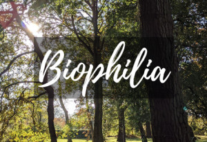 Things to do in County Dublin, Ireland - Guided Tour: Biophilia - YourDaysOut