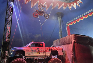 Things to do in County Kildare, Ireland - Courtney's Daredevil Circus | Naas - YourDaysOut