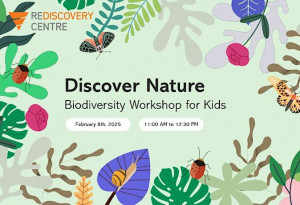 Things to do in County Dublin, Ireland - Discover Nature: Biodiversity Workshop for Kids - YourDaysOut