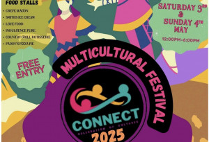Things to do in County Dublin, Ireland - Connect Multicultural Festival - YourDaysOut