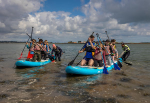 Things to do in County Dublin, Ireland - Baldoyle Bay Bisophere Festival - YourDaysOut