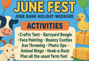 Things to do in County Laois, Ireland - June Fest - YourDaysOut