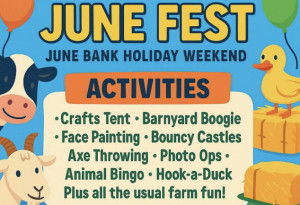 Things to do this weekend in Ireland | May 30th - June 2nd, 2025 - YourDaysOut