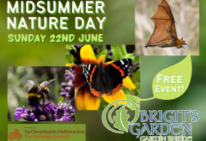 Things to do in County Galway, Ireland - Midsummer Nature Day - YourDaysOut