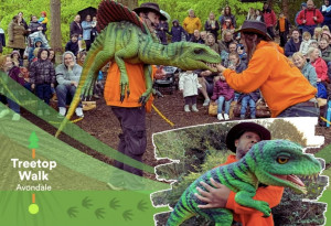 Things to do this weekend in Ireland | June  27th - June 29th, 2025 - YourDaysOut