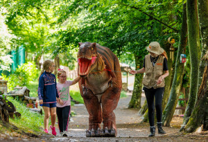 Things to do in ,  - Things to Do This Father’s Day in Ireland - YourDaysOut