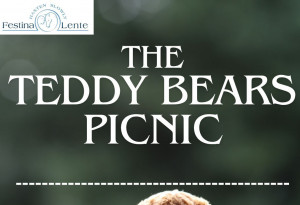 Things to do in County Wicklow, Ireland - Teddy Bear's Picnic - YourDaysOut