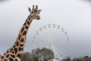 Things to do in ,  - 50 things to do this summer - YourDaysOut