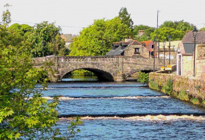 Things to do in County Roscommon, Ireland - Boyle Summer Show - YourDaysOut