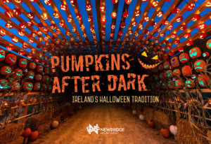 Things to do in County Dublin, Ireland - Pumpkins After Dark - YourDaysOut