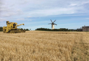 Things to do in County Dublin, Ireland - Skerries Mills Harvest Time Festival - YourDaysOut