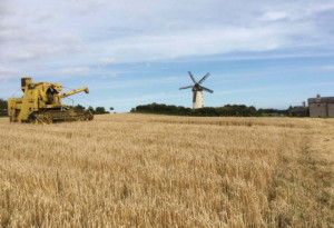 Things to do in ,  - Things to do this weekend | Friday 22nd - Sunday 24th, August - YourDaysOut