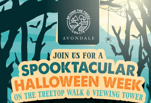 Things to do in County Wicklow, Ireland - Spooktacular Halloween Week - YourDaysOut