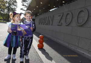 Kids Go Free to Dublin Zoo this Halloween - YourDaysOut