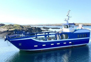 Things to do in County Donegal, Ireland - The Arranmore Blu - YourDaysOut