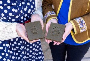 Hands-on family fun this weekend at Collins Barracks, with real specimens, creative activities and plenty to discover in the Dead Zoo Lab. - YourDaysOut