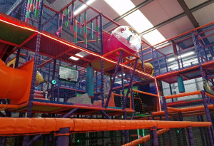 Things to do in County Kildare, Ireland - Jungle Den | Newbridge - YourDaysOut