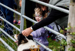 Things to do in , - Things to do this weekend | 11th - 13th September, 2026 - YourDaysOut