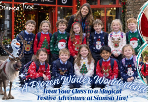Things to do in County Kerry, Ireland - A Magical Festive Adventure for Schools! - YourDaysOut
