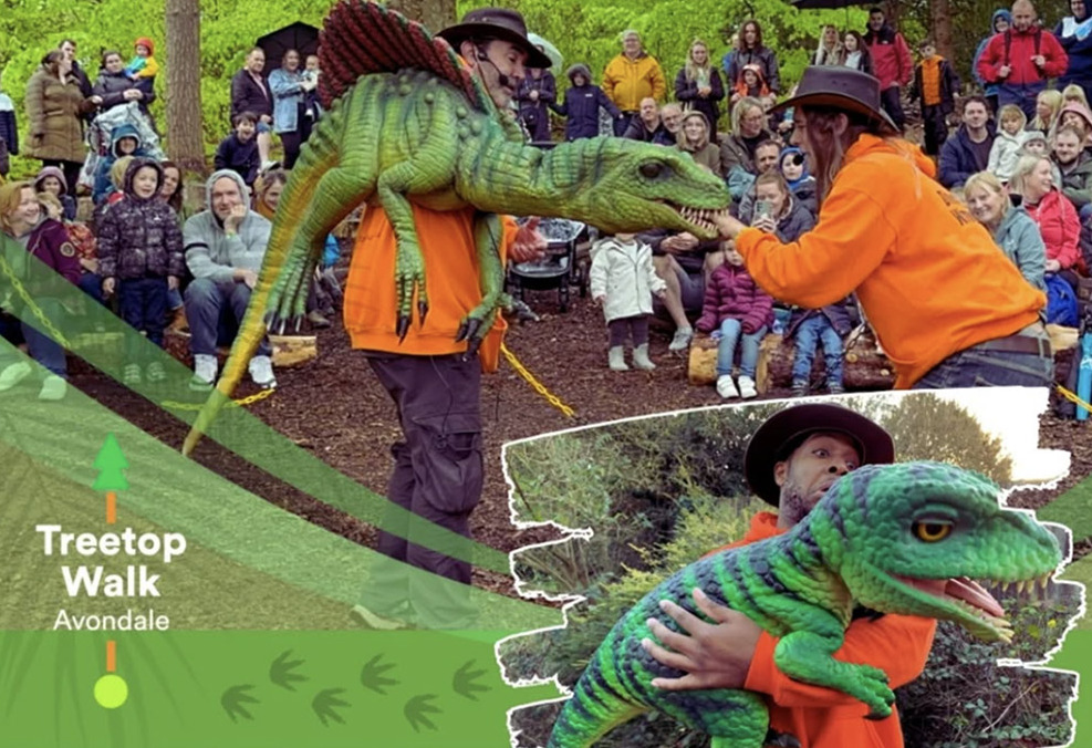 Things to do this weekend in Ireland | June 27th - June 29th, 2025