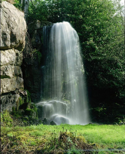 Things to do in County Kilkenny, Ireland - Kilfane Glen & Waterfall - YourDaysOut
