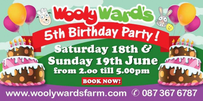Things to do in County Dublin, Ireland - Wooly Ward's Farm 5th Birthday Party - YourDaysOut