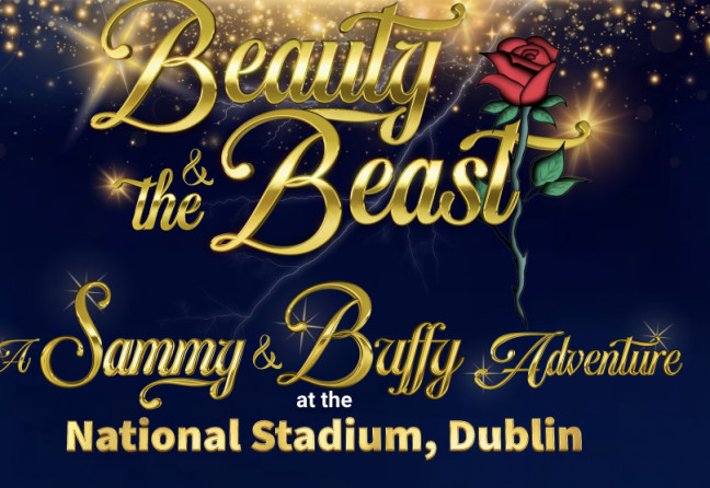 Things to do in County Dublin Dublin, Ireland - The Stadium Christmas Panto - YourDaysOut