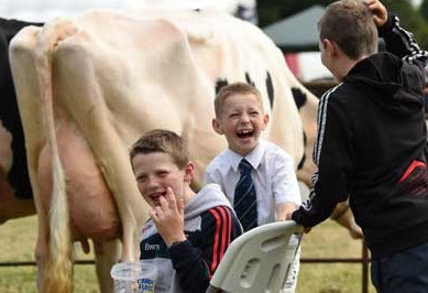 Things to do in County Carlow, Ireland - Tullow Show - YourDaysOut